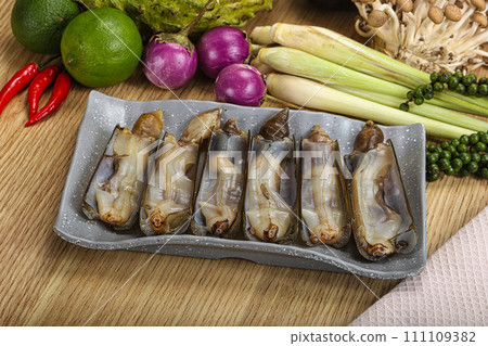 Raw fresh Razor clam mollusk Raw fresh Razor clam mollusk 111109382