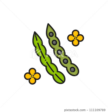 Rapeseed, canola oil icon, isolated linear vector sign, features green, slender, elongated pod with small black seeds inside, used for oil production and culinary purposes. Oilseed crop line symbol Rapeseed, canola oil icon, isolated linear vector sign, features green, slender, elongated pod with small black seeds inside, used for oil production and culinary purposes. Oilseed crop line symbol 111109789
