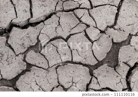 Ground cracked by hot weather. Global warming and drought concept. Natural background with copy space. 111110116