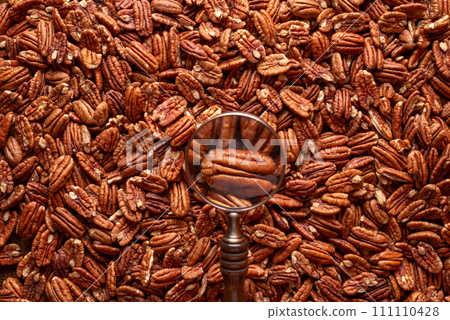 Pecan nuts pile, above view, full frame background Pecan nuts pile, above view, full frame background 111110428