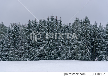 Winter landscape with snow covered trees in Black Forest, Germany 111110434