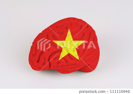 On a white background, a model of the brain with a picture of a flag - Vietnam 111110948
