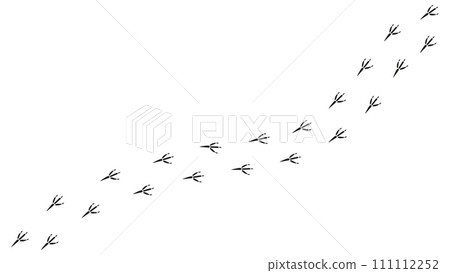 Path footprints of crow, raven, magpie, sparrow, dove, bird. Crow paw print, silhouette. Diagonal track. Vector isolated. For pet shop, textile, print, textile, web design, postcard, brochure, banner. 111112252