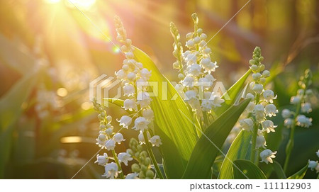 AI-generated content. Spring flowers in sunny day in nature, Lily of the valley, Colorful natural spring background AI-generated content. Spring flowers in sunny day in nature, Lily of the valley, Colorful natural spring background 111112903