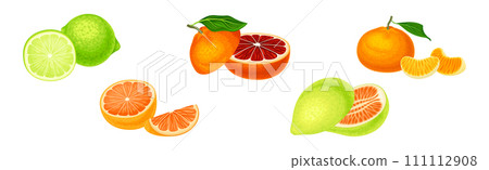 Citrus Fruit with Rind or Peel and Juicy Flesh Vector Set 111112908
