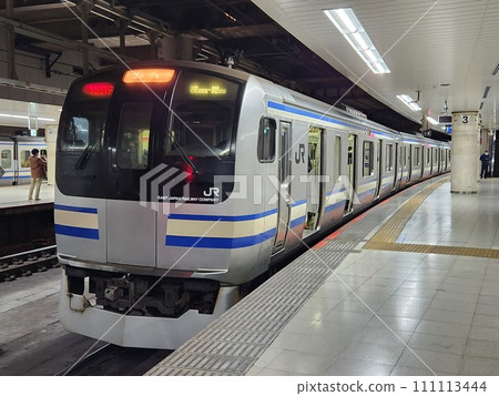 E217系列在東京車站等待發車 111113444