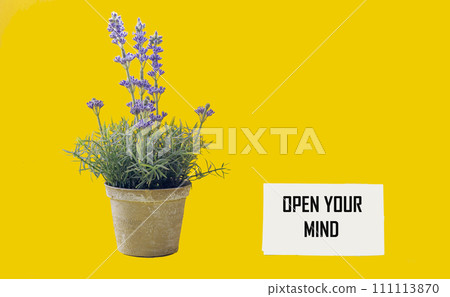 OPEN YOUR MIND text on a sticker and a yellow background, next to a vase with lavender. OPEN YOUR MIND text on a sticker and a yellow background, next to a vase with lavender. 111113870