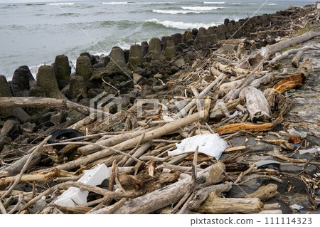 Driftwood washed ashore at the mouth of the Mogami River 111114323