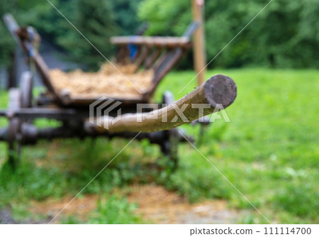Shaft of a wooden old horse cart closeup. Shaft of a wooden old horse cart closeup. 111114700