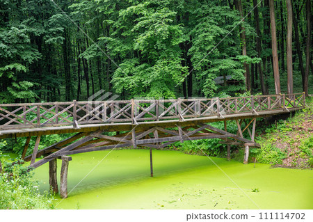 Wooden foot bridge over pond in Halych Ethnography museum, Ukraine. 111114702