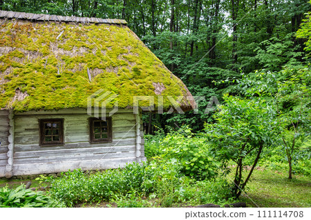 Wooden ethnic house with thatched roof. Halych Ethnography museum, Ukraine. 111114708