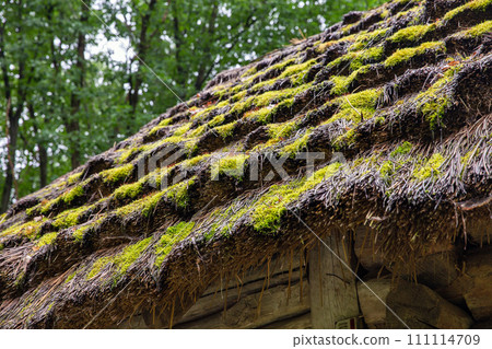 Wooden ethnic house with thatched roof. Halych Ethnography museum, Ukraine. 111114709