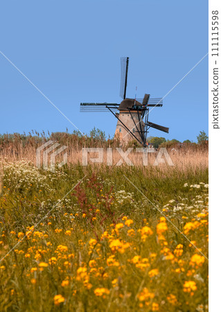 Historic wind mill at UNESCO world heritage site Kinderdijk in the Netherlands. 111115598