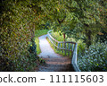 Scenic walking trail in Salzburg, Austria covered with trees. 111115603