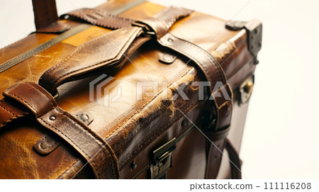 Close-up of a stylish travel bag. 111116208