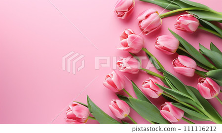 Pink tulips on pink background. Flat lay, top view, copy space. 111116212