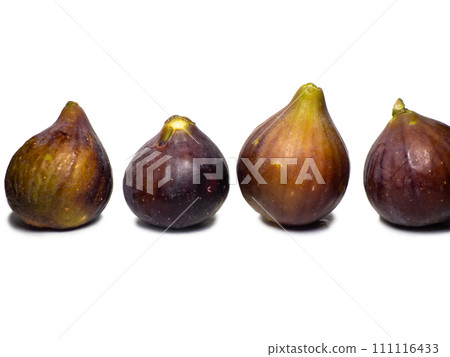 Ripe figs on a white background. Several figs. Southern fruit isolate. Purple fruit. Healthy diet. Ripe figs on a white background. Several figs. Southern fruit isolate. Purple fruit. Healthy diet. 111116433