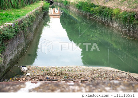 Polluted and dirty river consequence of city's human waste without control Polluted and dirty river consequence of city's human waste without control 111116551