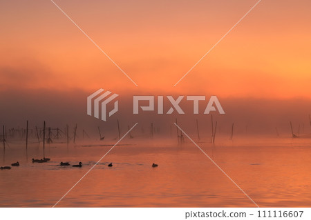 Lake shining in the morning sun 111116607