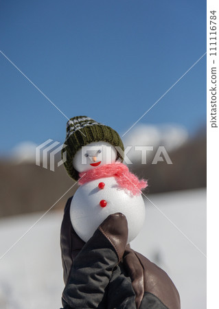 滑雪場和雪人 滑雪場和雪人 111116784