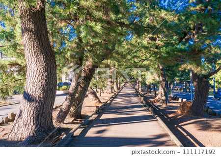 （靜岡縣）三保松原海岸（清水海岸）/神之道 111117192