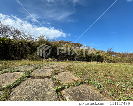 捕捉自然生動表情的照片 111117489