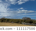 Photos that capture the vivid expressions of nature 111117500