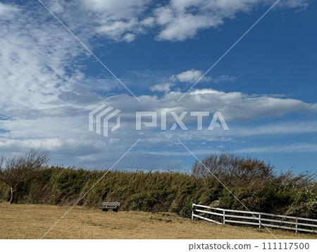 Photos that capture the vivid expressions of nature 111117500