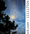 Photos that capture the vivid expressions of nature 111117504