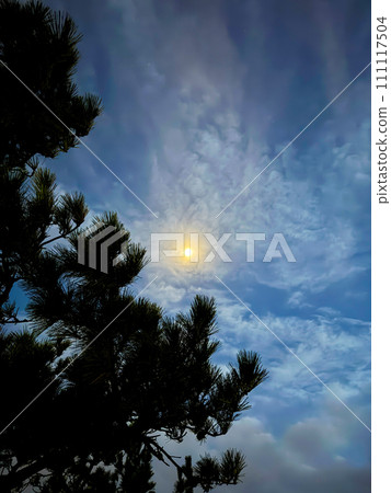 Photos that capture the vivid expressions of nature 111117504