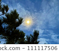 Photos that capture the vivid expressions of nature 111117506