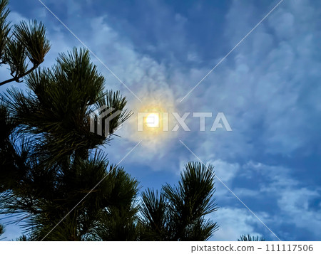 Photos that capture the vivid expressions of nature 111117506