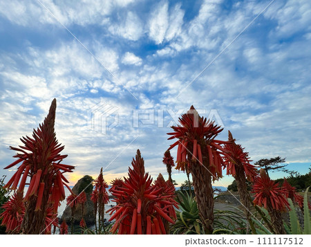 Photos that capture the vivid expressions of nature 111117512