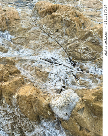 Photos that capture the vivid expressions of nature 111117514