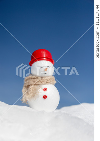 Winter snow field and snowman 111117544
