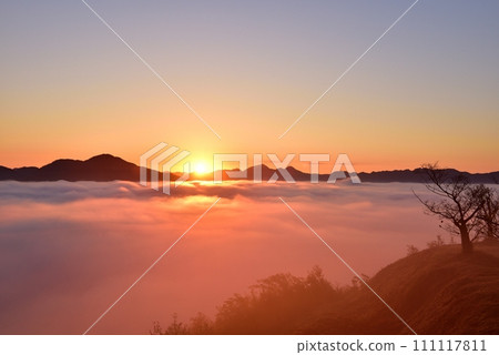 從黑井城遺址看到筱山盆地的丹波霧(雲海) 從黑井城遺址看到筱山盆地的丹波霧(雲海) 111117811