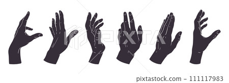 Hand palms gesture silhouettes. Human hands signs, peace, okay, call position flat vector illustration set. Gestures black silhouettes Hand palms gesture silhouettes. Human hands signs, peace, okay, call position flat vector illustration set. Gestures black silhouettes 111117983