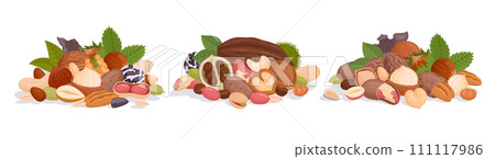 Nuts bunches. Seeds and nuts handfuls, cashew, peanut and walnut mix, delicious vegetarian nuts mix flat vector illustration set. Raw nuts and seeds bunch collection Nuts bunches. Seeds and nuts handfuls, cashew, peanut and walnut mix, delicious vegetarian nuts mix flat vector illustration set. Raw nuts and seeds bunch collection 111117986