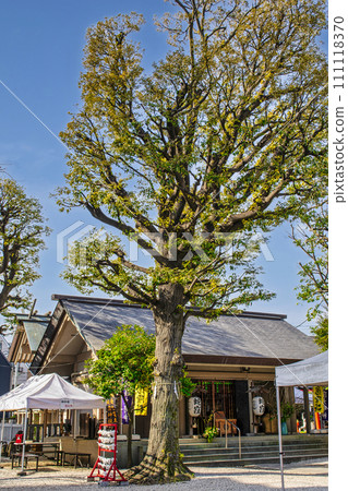 Shinagawa-ku, Tokyo, Jakubo Shrine, main building, White Snake, Japan's three major sacred places 111118370