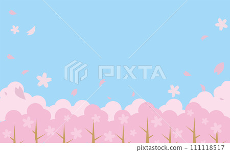 櫻花飄揚的春天背景 111118517