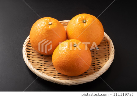 （愛媛郡生產）宮內伊予觀 111119755