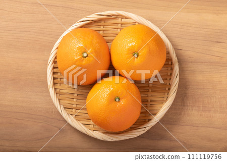 (Produced in Ehime Prefecture) Miyauchi Iyokan 111119756