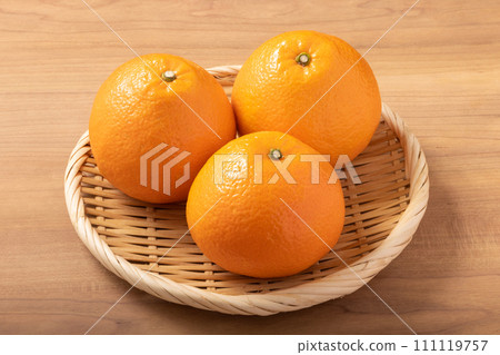 （愛媛郡生產）宮內伊予觀 111119757