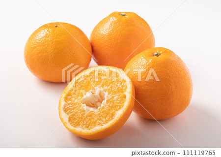 （愛媛郡生產）宮內伊予觀 111119765