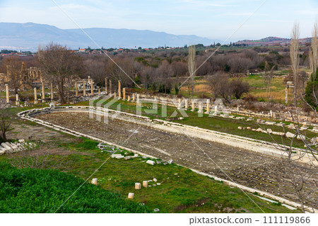 Ruins of pool surrounded by columns amidst park in Aphrodisias, Turkey 111119866
