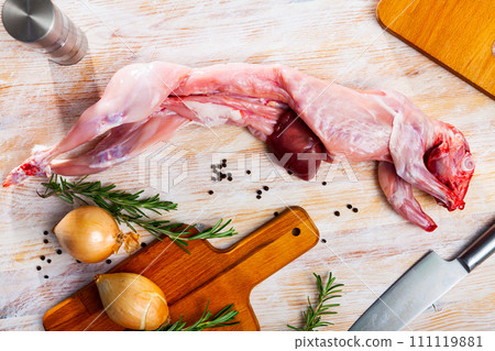 Raw rabbit with onion and spices Raw rabbit with onion and spices 111119881