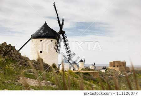 Traditional white wind mills of Consuegra in Castilla-La Mancha 111120077