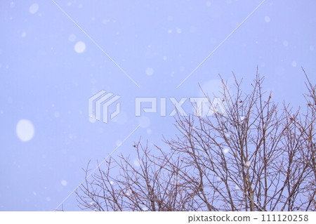 雪羽絨服 111120258