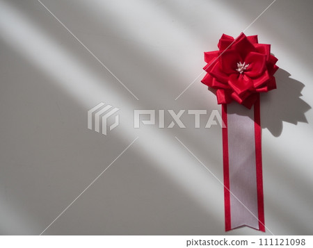 Ribbon insignia (red/white background) 111121098