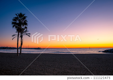 Sunrise beach and palm tree silhouette Sunrise beach and palm tree silhouette 111121473